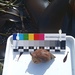 Common Whelk - Photo (c) CoastalWarming, some rights reserved (CC BY-NC), uploaded by CoastalWarming
