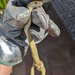 Western Montpellier Snake - Photo (c) Alexander Lehnen, some rights reserved (CC BY-NC), uploaded by Alexander Lehnen
