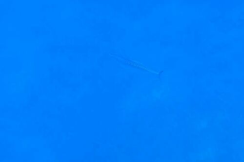 Frigate Tuna - Photo (c) xavi salvador costa, some rights reserved (CC BY-NC)