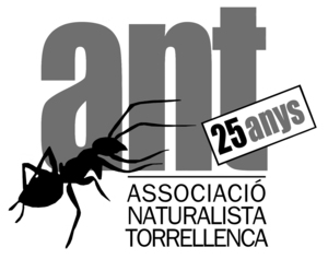 antlaformiga