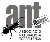 antlaformiga