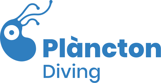 Logo ECS